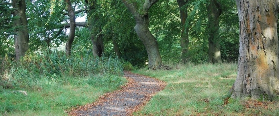 An image relating to Walking at Beecraigs