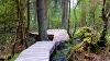Mountain Bike Trail