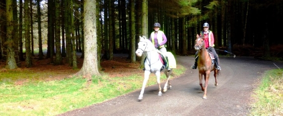 An image relating to Horse Riding