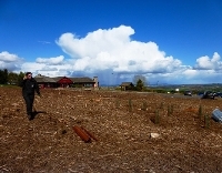 Ranger Service