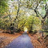 An image relating to Quiet Roads