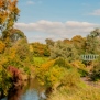 Livingston Background
