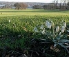 Open Space