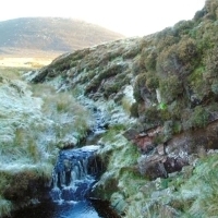 1 Baad Park Burn