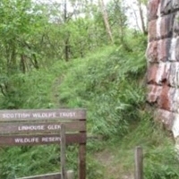 3 Linhouse Water 