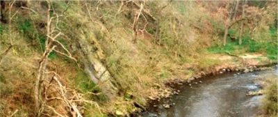 10 Almondell and Calderwood Country Park