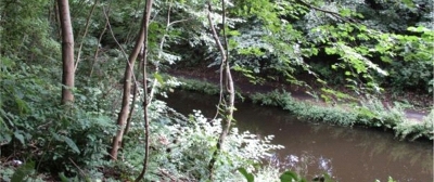 12 Union Canal in Winchburgh 12 Union Canal in Winchburgh