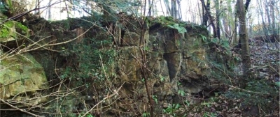 19 Midhope Burn south west of Hopetoun House 19 Midhope Burn south west of Hopetoun House
