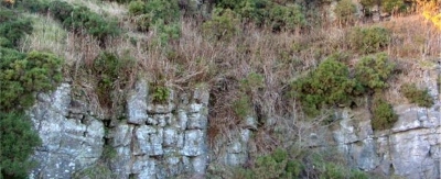 27 Rifle Range Quarries Bathgate Hills 27 Rifle Range Quarries Bathgate Hills