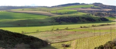 35 Carsie Hill near Linlithgow in the Bathgate Hills 35 Carsie Hill near Linlithgow in the Bathgate Hills