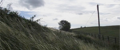 44 Craigton Hill Quarry near Winchburgh 44 Craigton Hill Quarry near Winchburgh