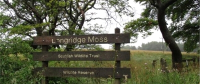 49 Longridge Moss west of Stoneyburn in the Breich Valley
