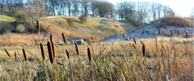 26 Petershill Quarries north east Bathgate 26 Petershill Quarries north east Bathgate