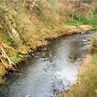 10 Almondell and Calderwood Country Park
