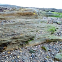 18 Abercorn Point near Hopetoun House by South Queensferry