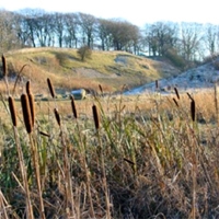 26 Petershill Quarries north east Bathgate