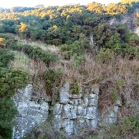 27 Rifle Range Quarries Bathgate Hills