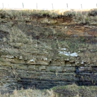 28 Hilderston Silver Mine Quarry Bathgate Hills