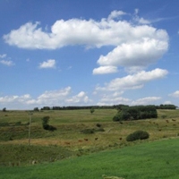 33-34 Barbauchlaw and Barbauchlaw Burn Quarries Armadale