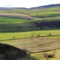 35 Carsie Hill near Linlithgow in the Bathgate Hills