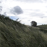 44 Craigton Hill Quarry near Winchburgh