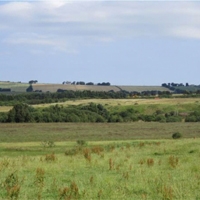 48 Tailend Moss by Bathgate
