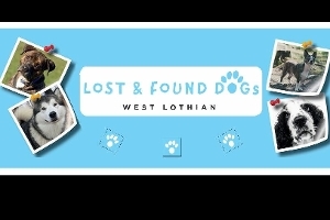 Lost and Found Dogs West Lothian Lost and Found Dogs West Lothian description