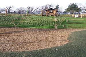 An image relating to Park vandalism causes £34k of damage in less than two years