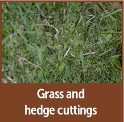 Grass and hedge image