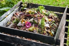 Compost Heap - Garden Waste