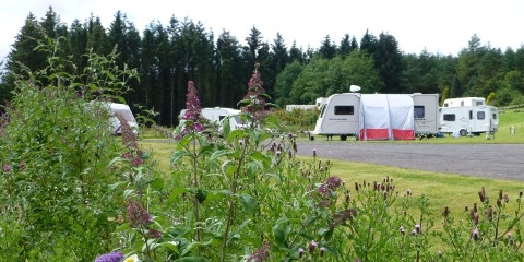 An image relating to Caravan, Camping and Little Lodges