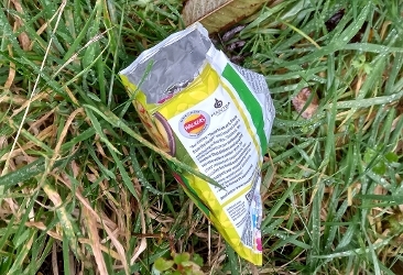 crisp packet litter in grass