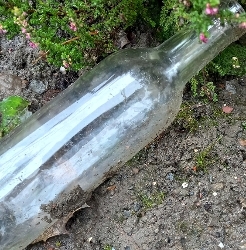 Glass bottle litter in dirt