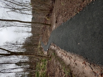 Almondell Photo 2 - Feb 2022