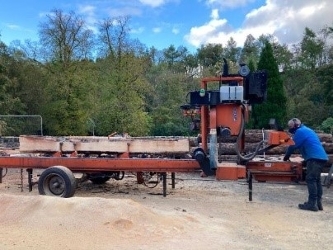 Saw demonstration