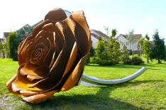 Rose 1 - Wester Inch Public Art