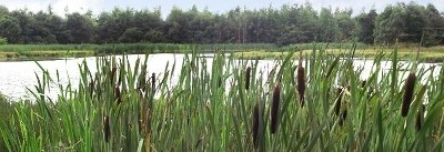 Local Nature Reserve Photo Local Nature Reserve Photo