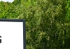 Home page banner