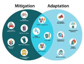 Adaptation vs Mitigation 