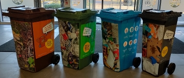 Display Bins 2024