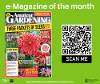 e-Magazine of the month