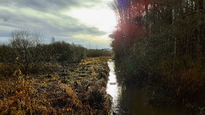 Project to breathe new life into Bathgate Water Project to breathe new life into Bathgate Water
