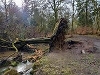 Polkemmet 4