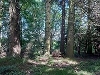 Polkemmet 6