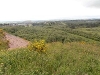 Seafield Law