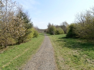 Broxburn Community Woodland