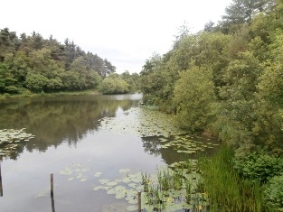 Eliburn Park