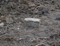 Brown bin - bricks