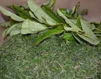 Grass and hedge cuttings