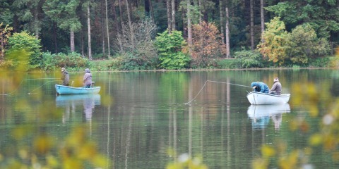 Fishing Page Header: Link to 'Fly-fishing on Beecraigs Loch' Fishing Page Header